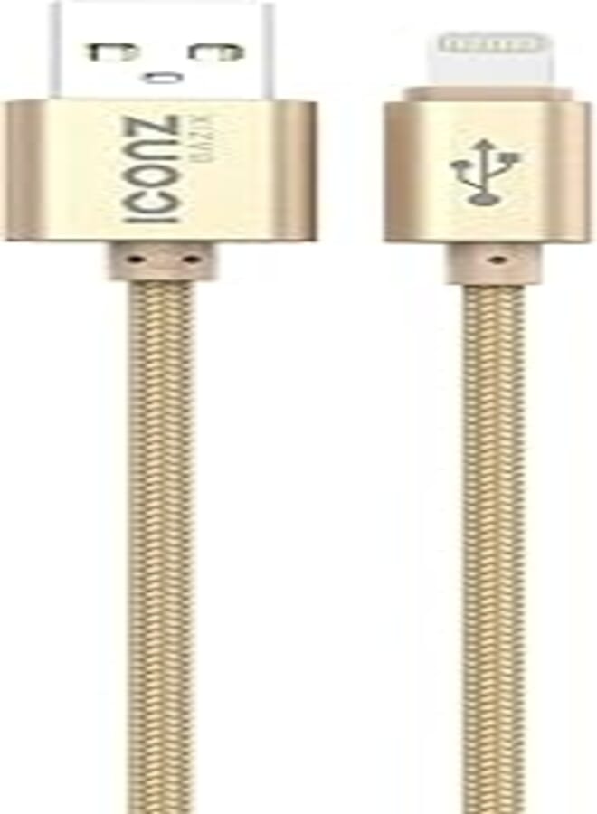 Iconz XBL05G Bazix Aluminum Lightning Cable, 2.1 Ampere - Gold