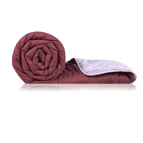 Zinnia لحاف زينيا فائق النعومة من الألياف الدقيقة قابل للعكس - مزدوج 230 × 255 سم، بنفسجي فاتح ونبيذي (صلب - داكن) - Image 2