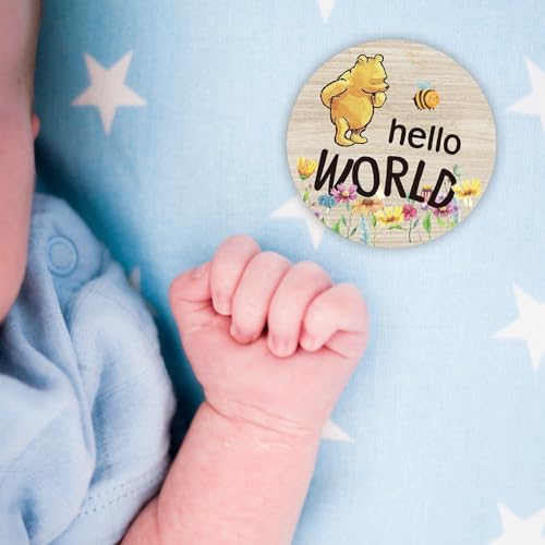 PAMBO The Winnie Baby Bear Month Milestone Circles, Wooden Discs Stuff for Baby Photo Takens with Hello World Name Signs - 7Pcs Double Sided Signs for Documenting Growth - Image 2