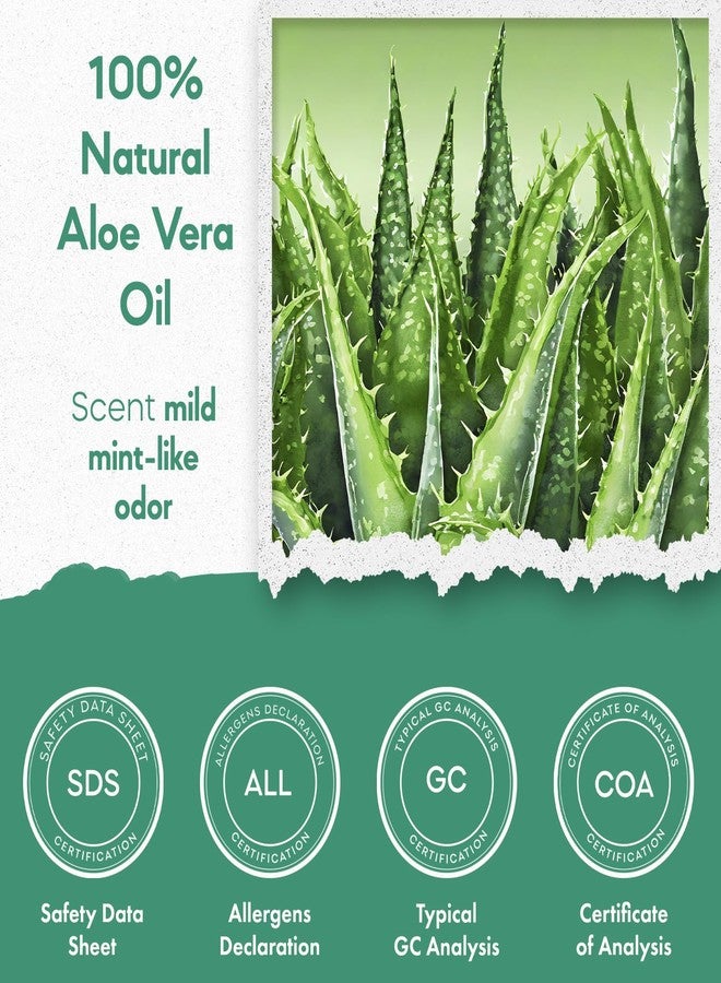 Radha Organic Aloe Vera Essential Oil - 100% Pure Aloe Vera Oil for Skin, Hair, and Aromatherapy, 10 ML - Image 5
