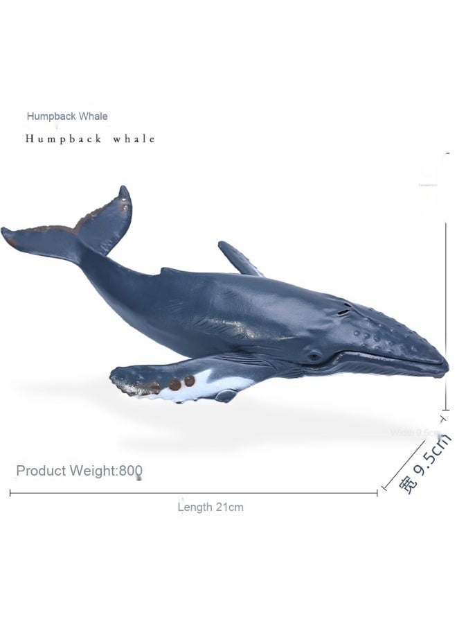 نيبمينينت نموذج الكائنات البحرية المحاكية - ألعاب سمكة القرش والحوت الأزرق