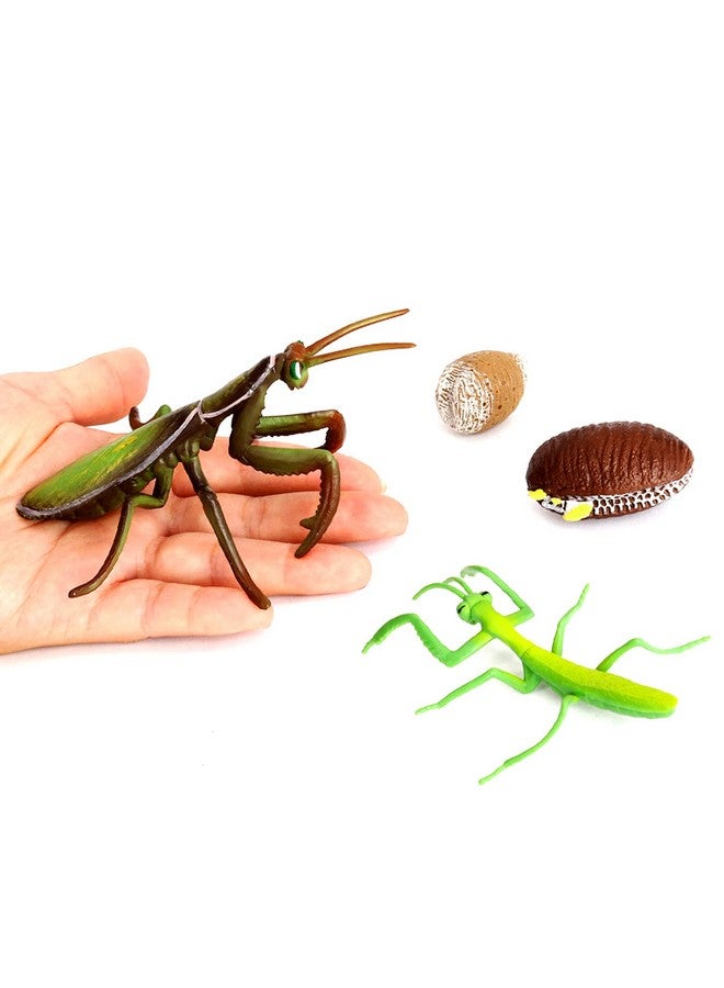 Odowalker 24PCS Life Cycle Figures,Insect Figurines Life Cycle of Monarch Butterfly,Honey Bee,Ladybug,Praying Mantis,Dragonfly,Grasshopper Safariology Bug Figures Kits Educational School Project - Image 3