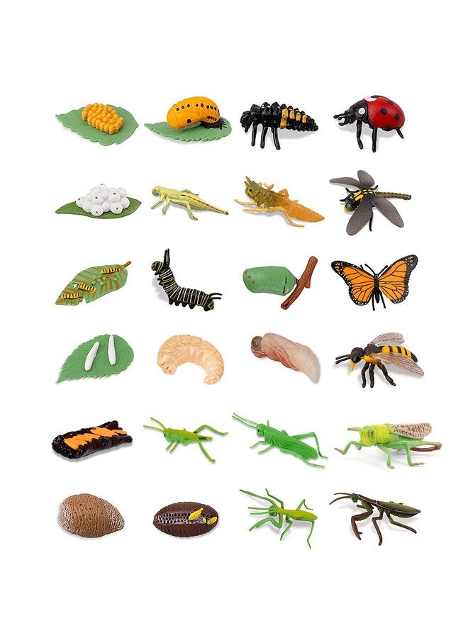 Odowalker 24PCS Life Cycle Figures,Insect Figurines Life Cycle of Monarch Butterfly,Honey Bee,Ladybug,Praying Mantis,Dragonfly,Grasshopper Safariology Bug Figures Kits Educational School Project - Image 1