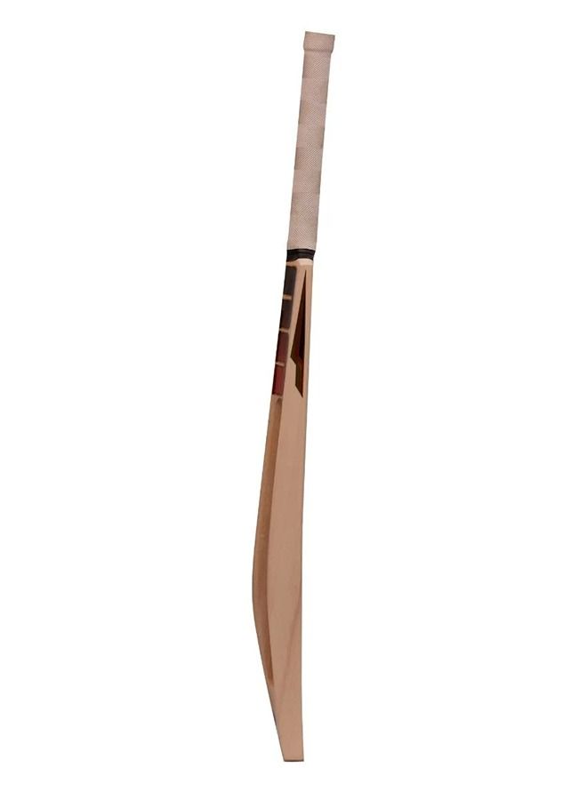 SS Cricket Bats Soft Pro Player Scoop Kashmir Willow Sh  - Image 2