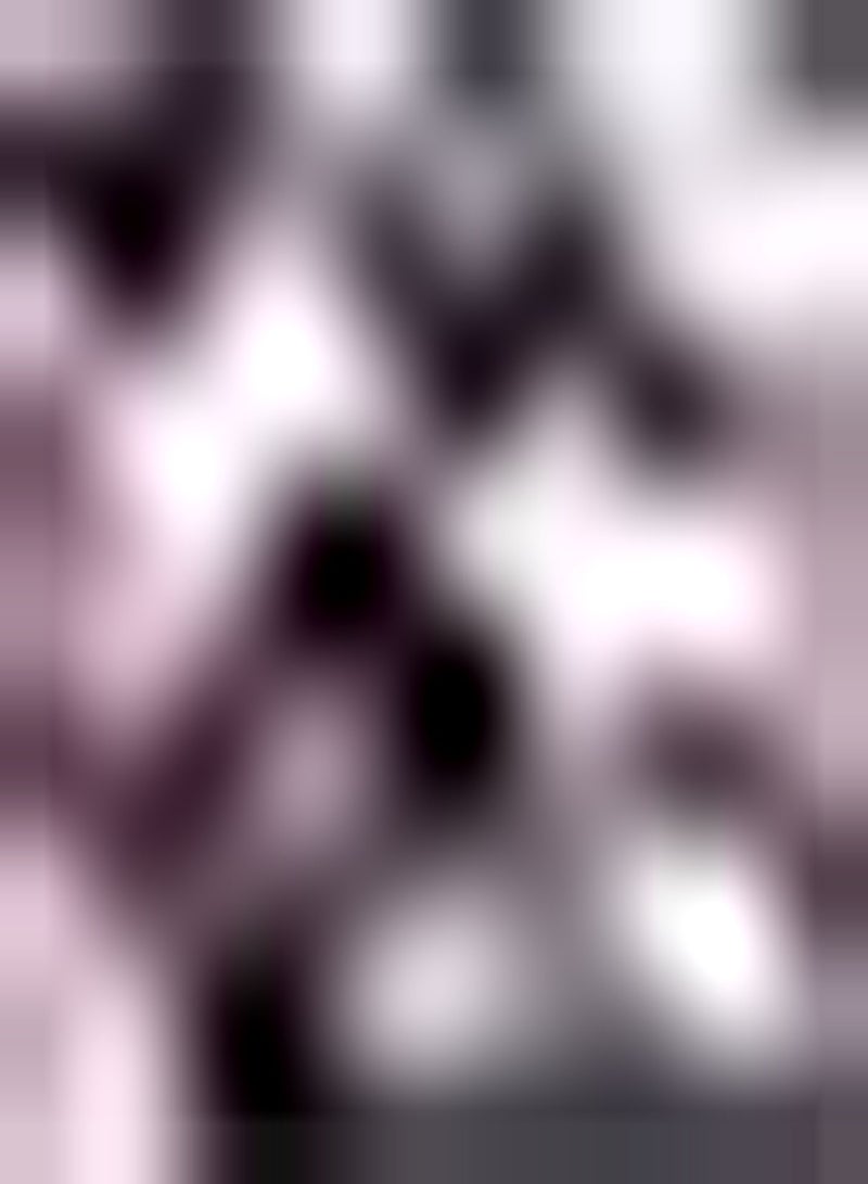 GGOOT 10pcs Mixed Color Tulip Seeds Unique Garden Beautiful Attractive Ornamental Icing on Cake for Your Home Landscape Suitable for Beginners Novice Gardeners - Image 2