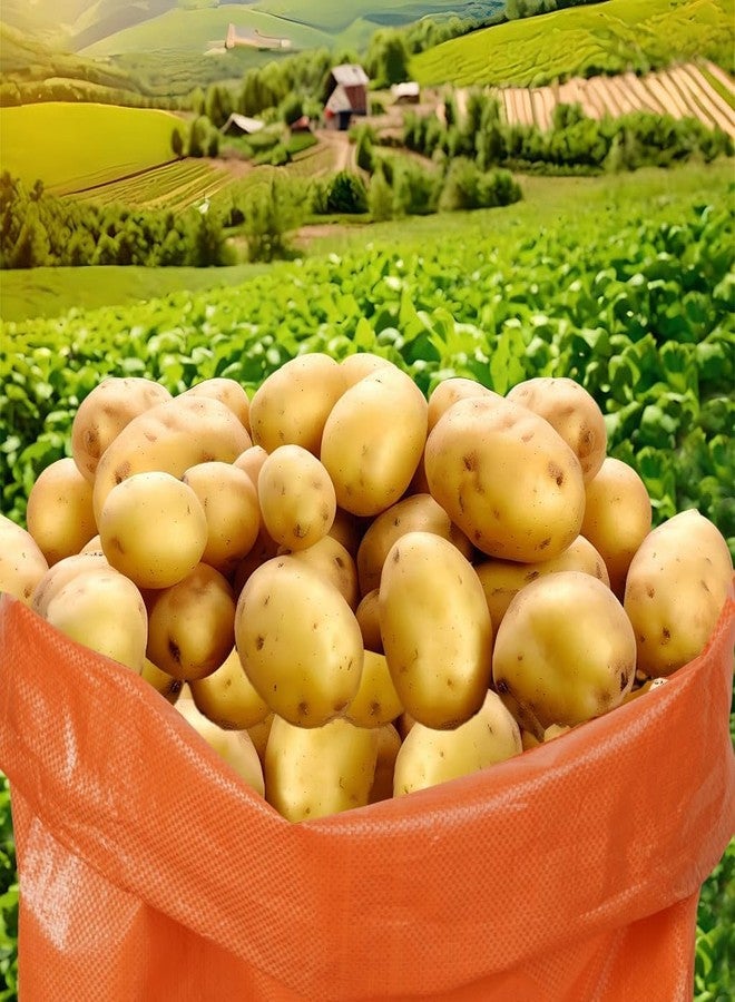 LOVYNO 15Pcs Potato Sack Race Bags Large Size Game Race Bag for Carnival Easter Christmas School Outside Lawn Sports Games, Birthday Parties, Outdoor Family Gatherings, Barbecues - Image 5