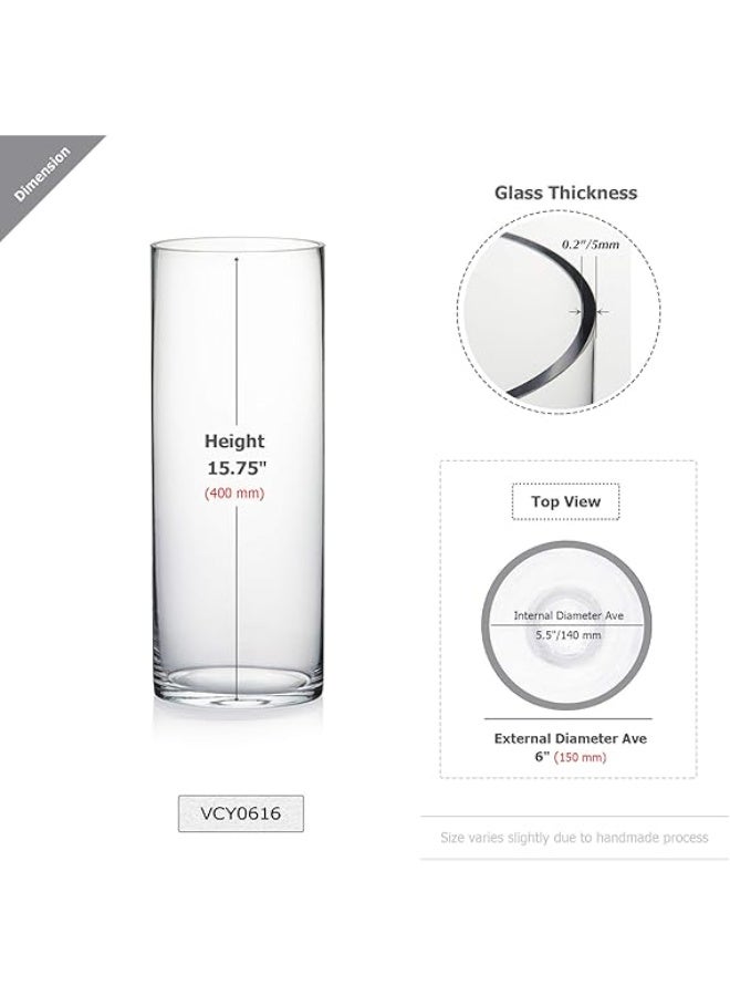 WGVI WGV Cylinder Vase, Width 6", Height 16", Clear Glass Container Terrarium Candle Holder for Wedding Centerpiece, Party Event, Home Office Decor, 1 Piece - Image 2