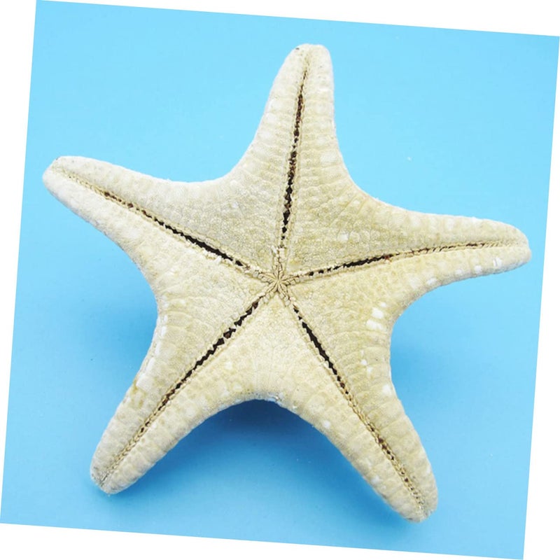 8 Pcs White Natural Sea Star Ornaments Ocean Themed Decor for Parties DIY 4 7cm - Image 3