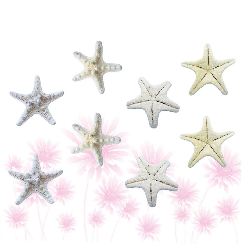 8 Pcs White Natural Sea Star Ornaments Ocean Themed Decor for Parties DIY 4 7cm - Image 5