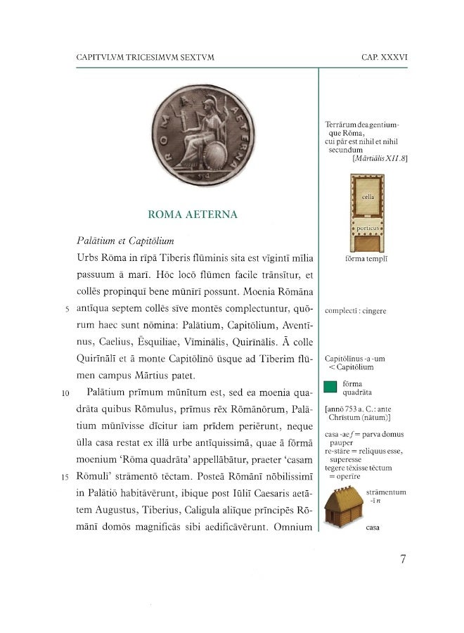 Roma Aeterna: Pars II - Image 5