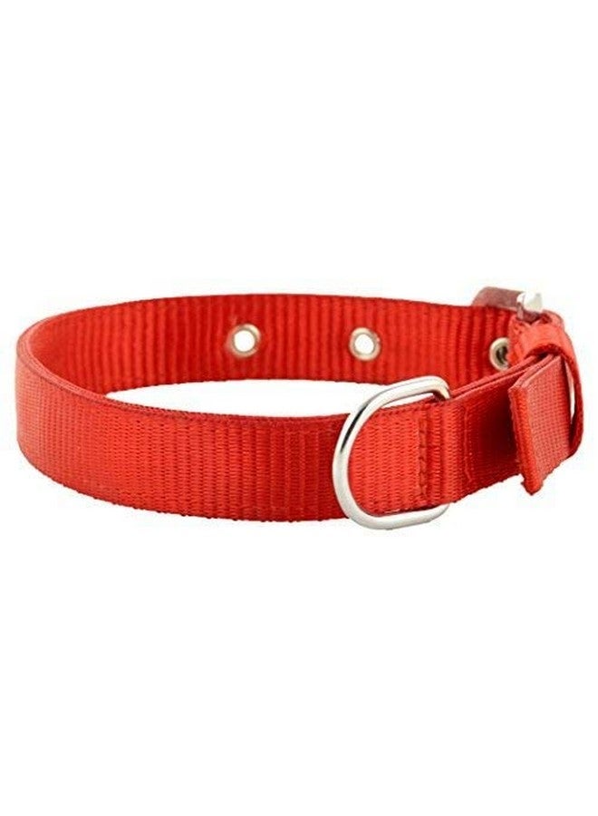 طوق كلب ناعم من النايلون الأحمر مضاد للتوتر، مقاس كبير 1 بوصة، طوق كلب بإبزيم متين - Image 3