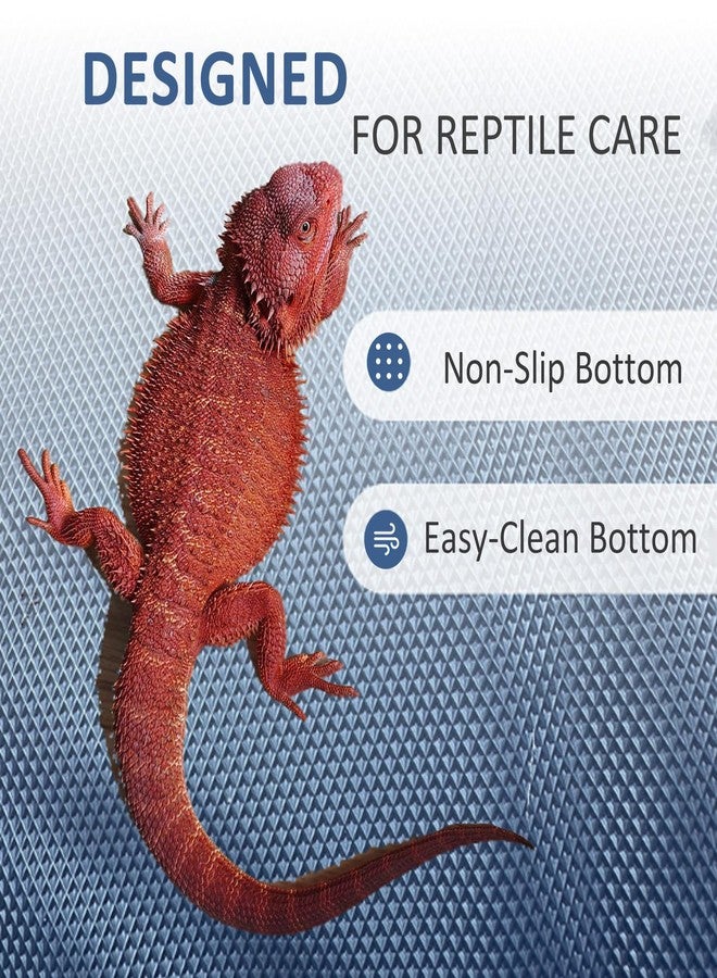 Eooqi Foldable Bearded Dragon Bath Tub, Collapsible Reptile Bath Pool for Lizards, Hedgehogs & Small Pets, Portable Non-Slip Water Tub (Blue, 19 x 3.5 in) - Image 5