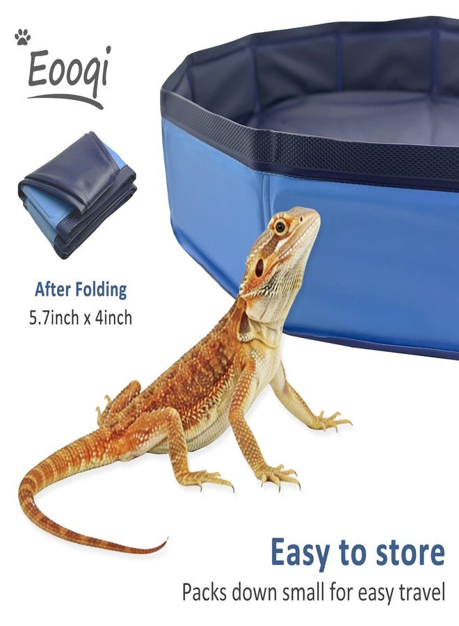 Eooqi Foldable Bearded Dragon Bath Tub, Collapsible Reptile Bath Pool for Lizards, Hedgehogs & Small Pets, Portable Non-Slip Water Tub (Blue, 19 x 3.5 in) - Image 3