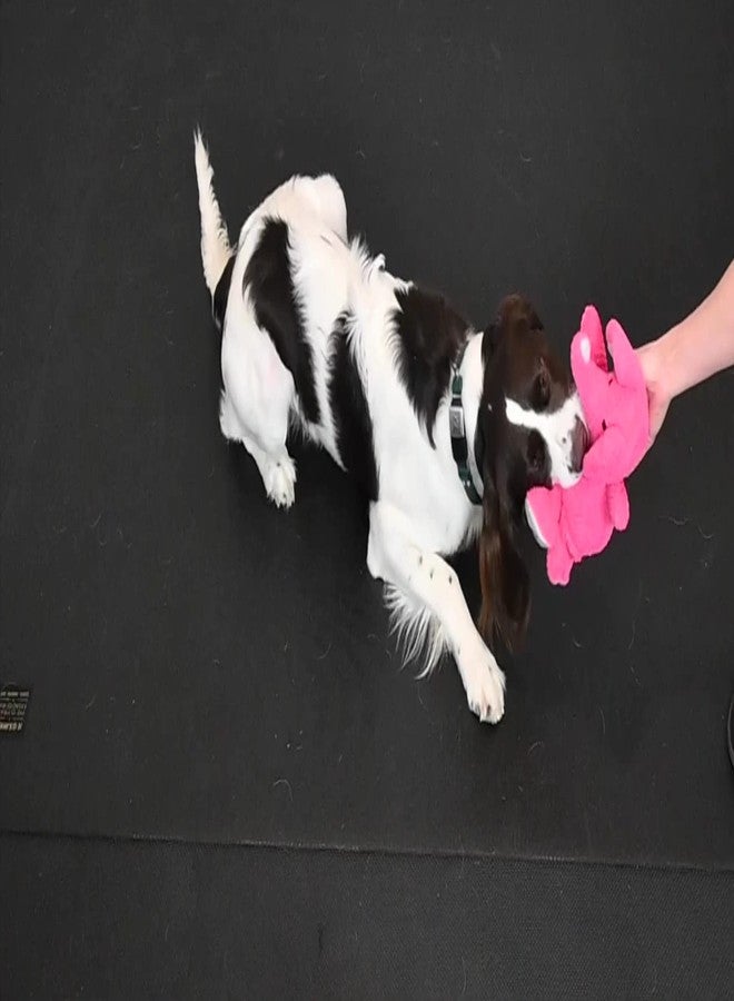 Glory To Dog لعبة الكلب الكبيرة الوردية القطيفة على شكل الفيل يونيس المجد للكلب - Image 5