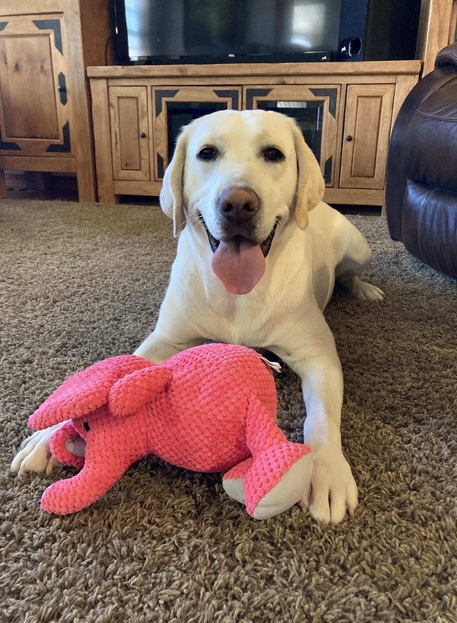 Glory To Dog لعبة الكلب الكبيرة الوردية القطيفة على شكل الفيل يونيس المجد للكلب - Image 4