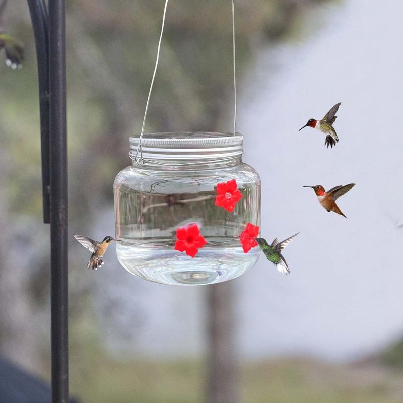 woobles Mason Jar Hummingbird Feeder with 3 Ports for Outdoors Hanging Yard Garden Decoration, Little Bird Wild Birds Feeding Jar with Flower Feeding Ports, Portable Clear Reservoir Design 500ml (Clear) - Image 2