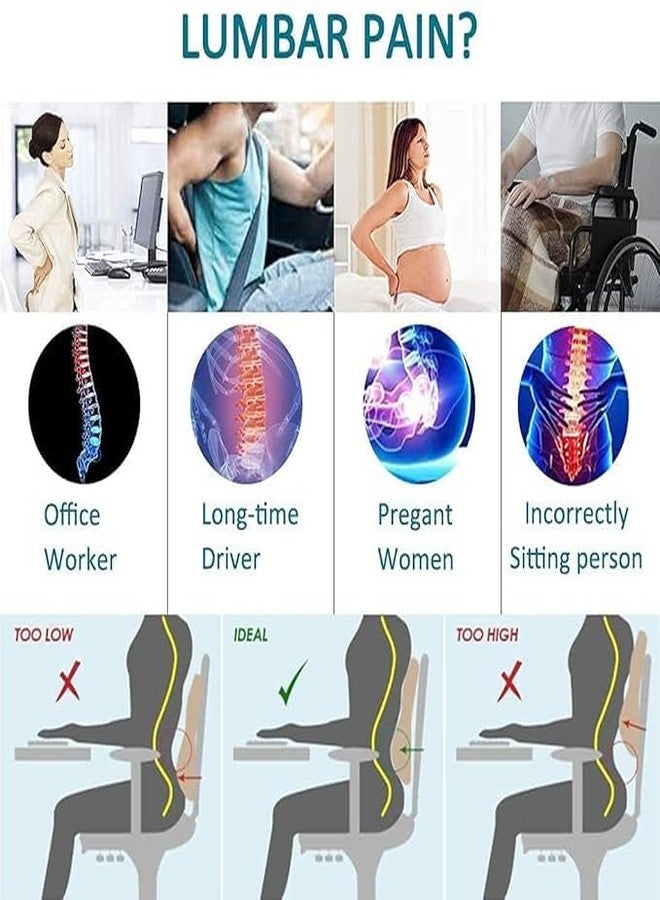 Backfit ® - Backrest for/Car/Dinning Chair, Sofa etc - Gold Series- Ideal for Sofa & carchair Back Support -Full Size (Black and Brown)… - Image 2