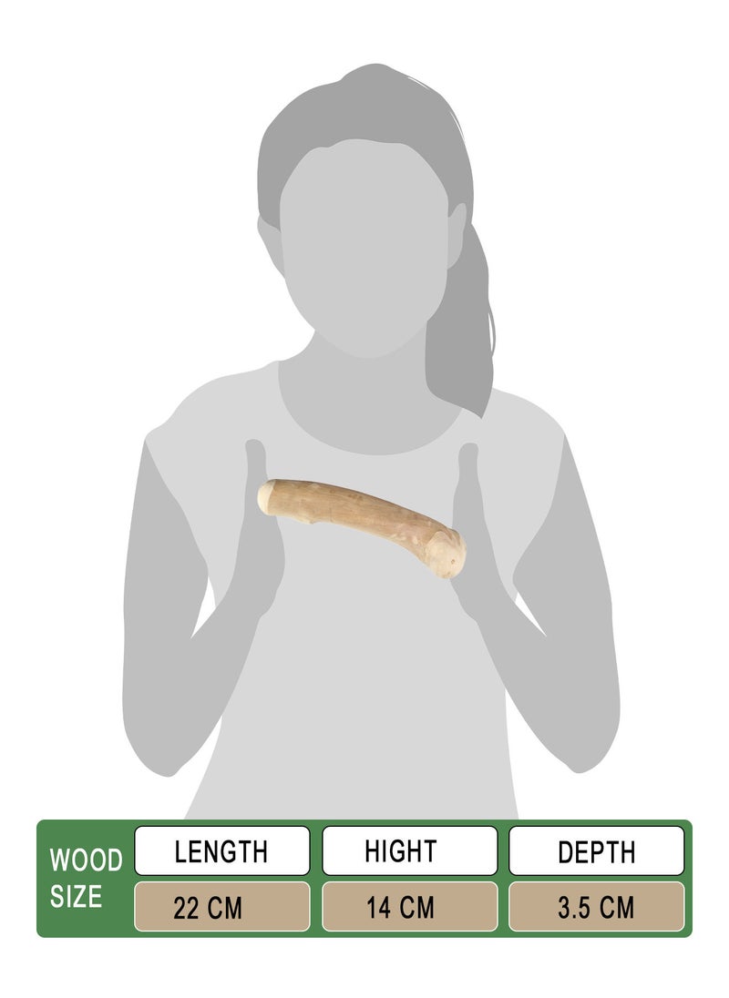 CHEWY BONE medium Dog Chew Wooden Stick Organic Indonesian Java wood for aggressive chewers For teething and Interactive play  - Image 2