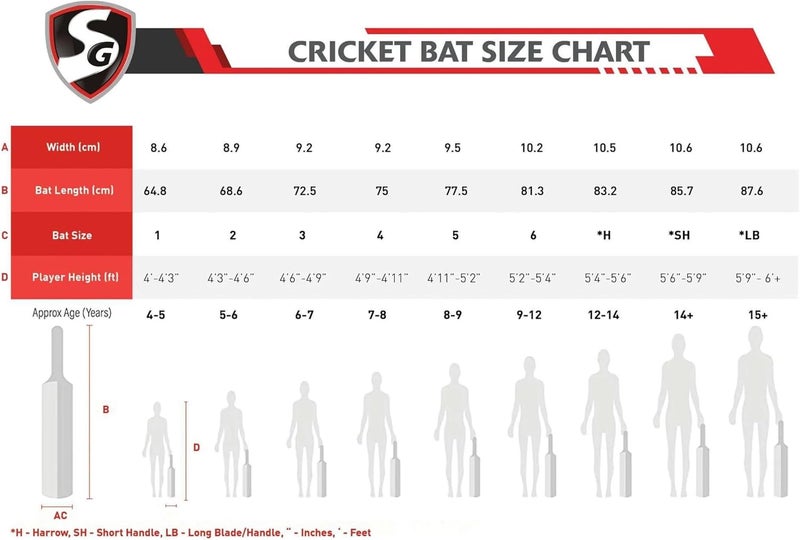 SG Kashmir Willow Cricket Bat SG RP Spark - Image 3