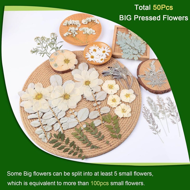 ZMRU 12“ Large Dried Pressed Flowers for Art Crafts, Real Dry Natural Flower Leaf Fruit Bulk for Resin Mold, Cake Decor, Glass Frame (Winter Silver) - Image 3