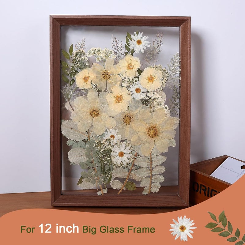 ZMRU 12“ Large Dried Pressed Flowers for Art Crafts, Real Dry Natural Flower Leaf Fruit Bulk for Resin Mold, Cake Decor, Glass Frame (Winter Silver) - Image 4
