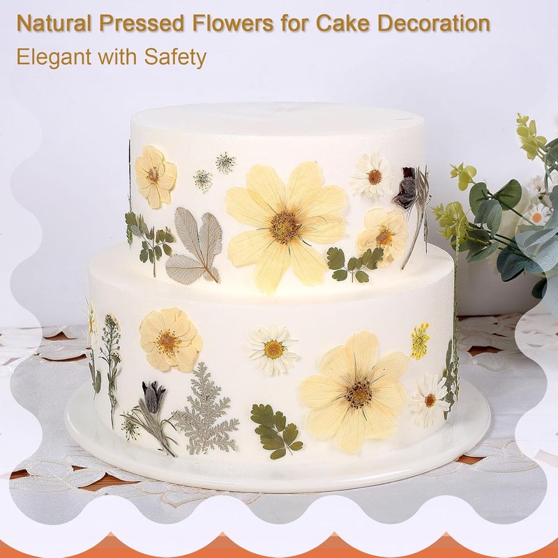 ZMRU 12“ Large Dried Pressed Flowers for Art Crafts, Real Dry Natural Flower Leaf Fruit Bulk for Resin Mold, Cake Decor, Glass Frame (Winter Silver) - Image 5