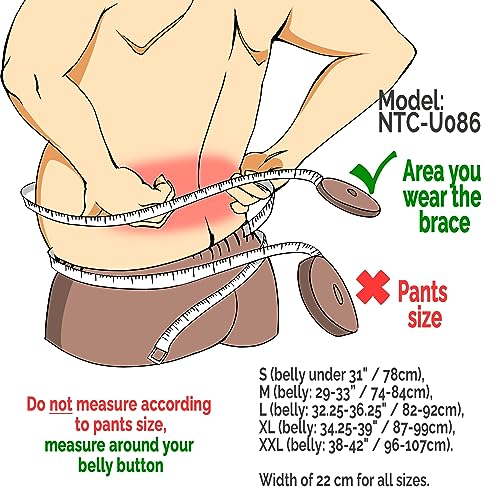 NeoTech Care حزام دعم الظهر NeoTech Care مع حمالات الأكتاف حزام دعم قطني خفيف وقابل للتنفس لآلام أسفل الظهر وضعية العمل في الصالة الرياضية لون أسود مقاس XL - Image 5