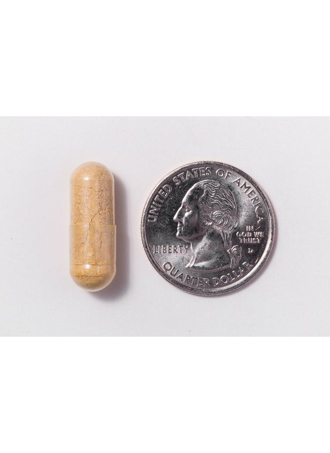 ProCare Health - Once Daily Bariatric Multivitamin ; Capsule ; 45Mg Iron ; 90 Count - Image 1