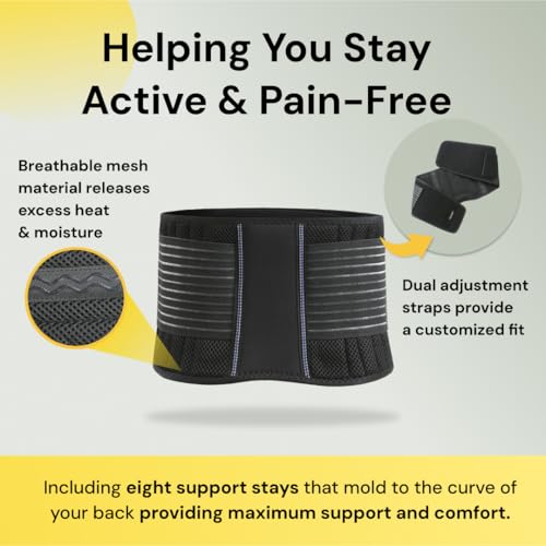 BraceUP Back Support Belt for Men and Women - Breathable Waist Lumbar Support Lower Back Brace for Sciatica, Herniated Disc, Scoliosis Lower Back Pain Relief, with Dual Adjustable Straps (XXL) - Image 2