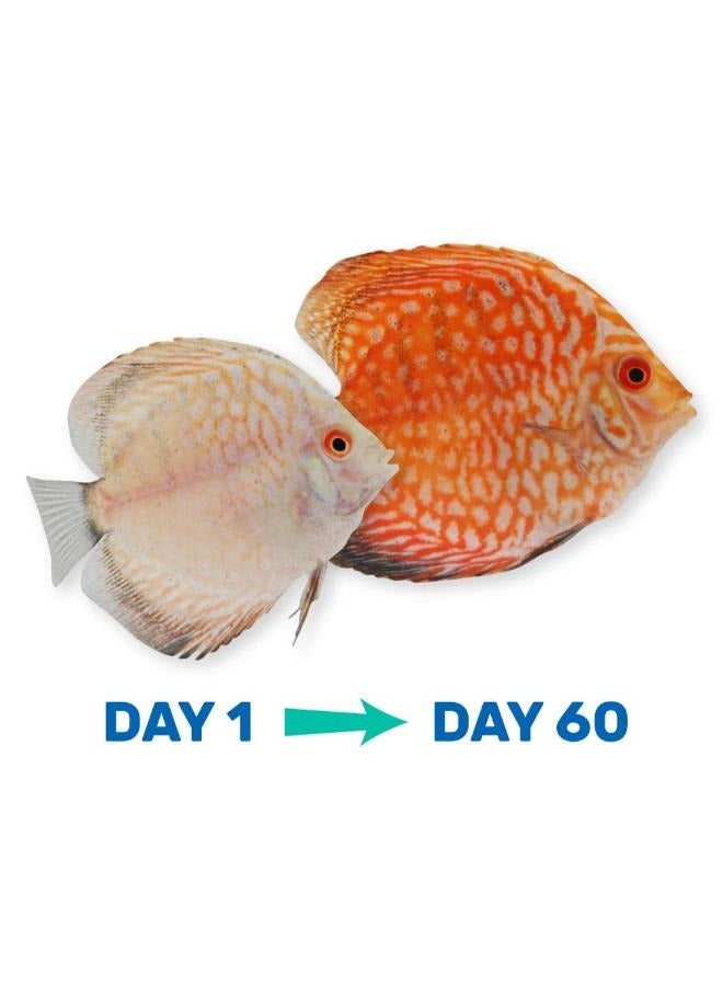 Hikari Vibra Bites are ideal for tropical fish that prefer live foods - Image 4