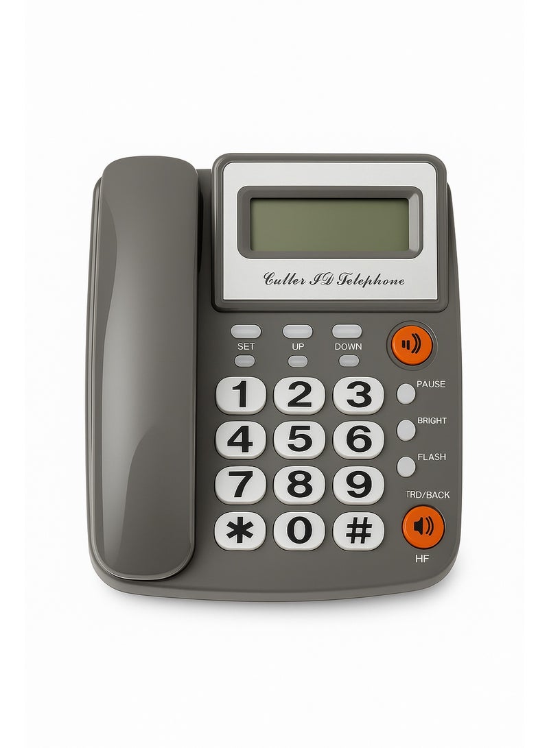 Landline Phone 300C - LCD Screen - Call Memory - Remote Talk - Built-in Alarm - Grey - Image 1
