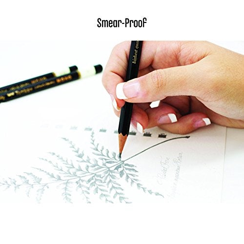 Tombow 51508 MONO Drawing Pencil, B, Graphite 12-Pack - Image 2