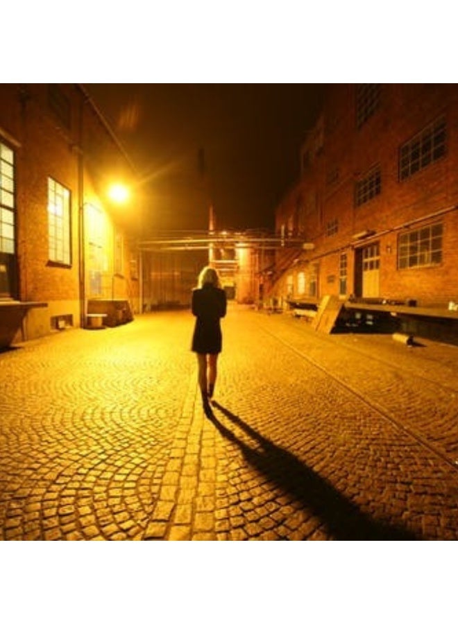 م.م.ذ  دحاولا صخشلا ةكرش اهمزاولو ةرانلا  تادعم ةراجتل زنيل دنآ وتلب كشاف ليد بلاتو 600 واط لوميلدز – 3000 كلفن أبيض دافئ | إضاءة خارجية IP66 عالية القدرة - Image 5