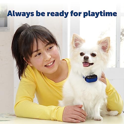 PetSafe بطارية بديلة 3 فولت من بيت سيف - تدوم طويلاً - لأطواق التحكم في النباح والأسوار - أداء موثوق - تركيب سهل - بطارية ليثيوم غير قابلة للشحن - Image 2