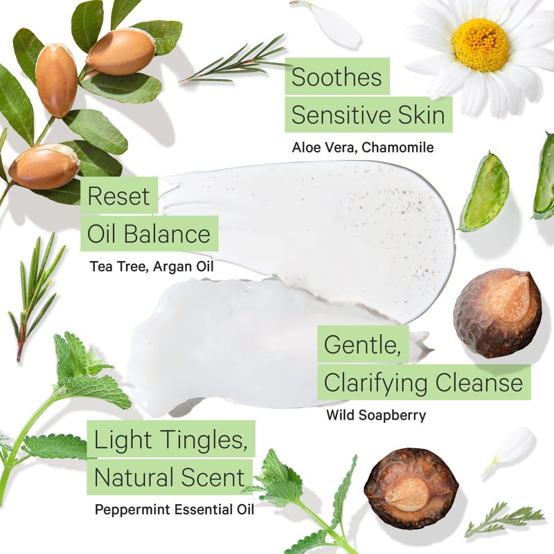 Tree To Tub Sulfate Free Shampoo and Conditioner Set for Oily Hair, Frizz, Sensitive Scalp - Hydrating Argan Oil Shampoo and Conditioner for Women & Men w/Organic Coconut Oil, All Natural Peppermint - Image 3