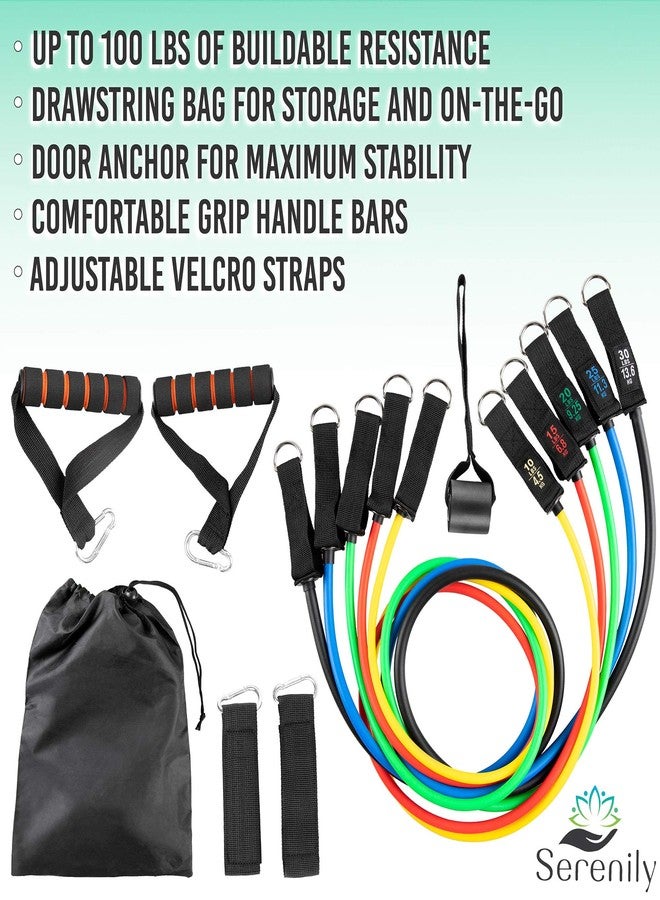 Serenily Exercise Bands, Resistance Bands for Women & Men. Workout Bands with Handles, Straps & Door Anchor Fitness Bands for Resistance Training, Home Workout Equipment Gym Bands for Physical Therapy - Image 5