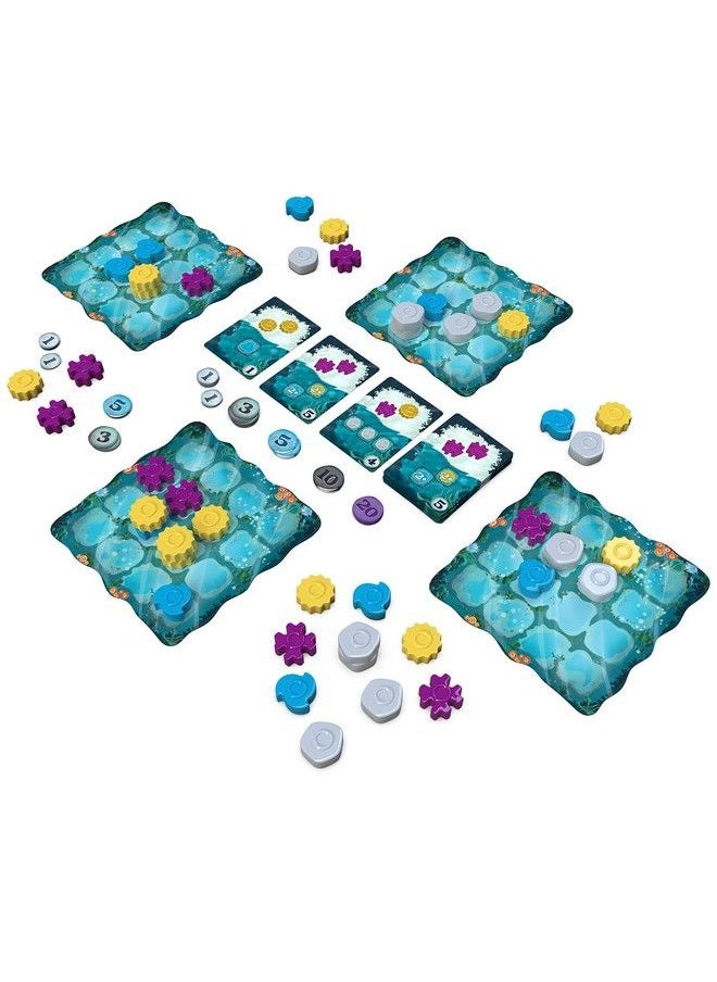 Plan B Games Reef Board Game (Second Edition) ; Strategy Board Game ; Family Board Game For Adults And Kids ; Ages 8 And Up ; 2 To 4 Players ; Average Playtime 30 45 Minutes ; Made By Next Move Games  - Image 3