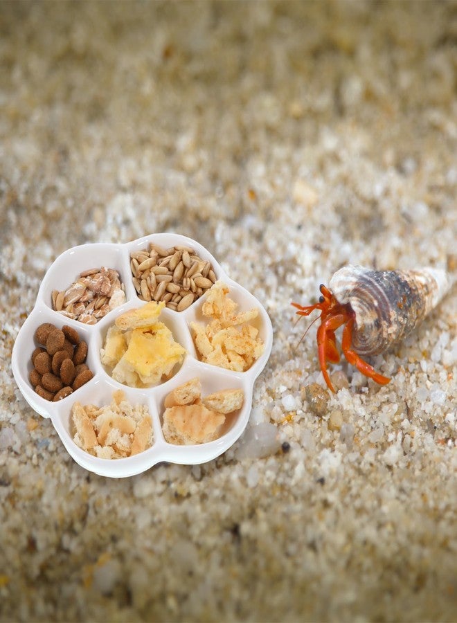 YQQYG 2Pcs Hermit Crab Food Dish, 7 Compartments Anti-Turning Food & Water Bowl, Tiny Reptile Water Bowl for Small Animal Hermit Aquarium Accessory - Image 4