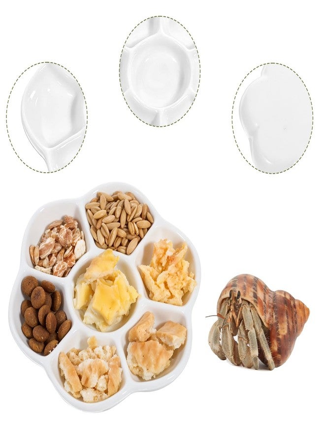 YQQYG 2Pcs Hermit Crab Food Dish, 7 Compartments Anti-Turning Food & Water Bowl, Tiny Reptile Water Bowl for Small Animal Hermit Aquarium Accessory - Image 3