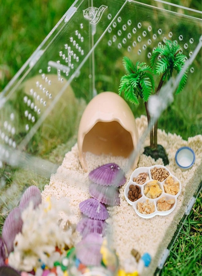 YQQYG 2Pcs Hermit Crab Food Dish, 7 Compartments Anti-Turning Food & Water Bowl, Tiny Reptile Water Bowl for Small Animal Hermit Aquarium Accessory - Image 5