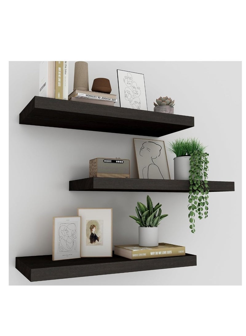 إيباسكت رف تعليق منظم  13سم  معلق في الحائط للديكورات وتنسيقات المنزل والمكتب (لون اسود) - Image 2