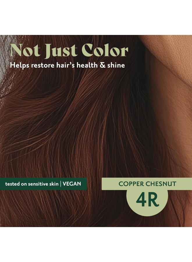 Herbatint Permanent Hair Dye For Women - 4R Copper Chestnut - For Up To 100% Gray Coverage of Resistant Gray Hair - Ammonia-Free, Alcohol-Free & Vegan - Salon Influenced Hair Color 5.75 fl oz - Image 4