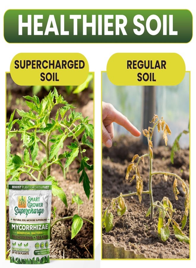 Smart Grower Mycorrhizal Fungi with Beneficial Bacteria, Trichoderma, Sea Kelp, Molasses, Yucca, Smart Grower Supercharge Plant Root Enhancer 8oz Super Concentrate Powder Makes 100 Gallons - Image 3