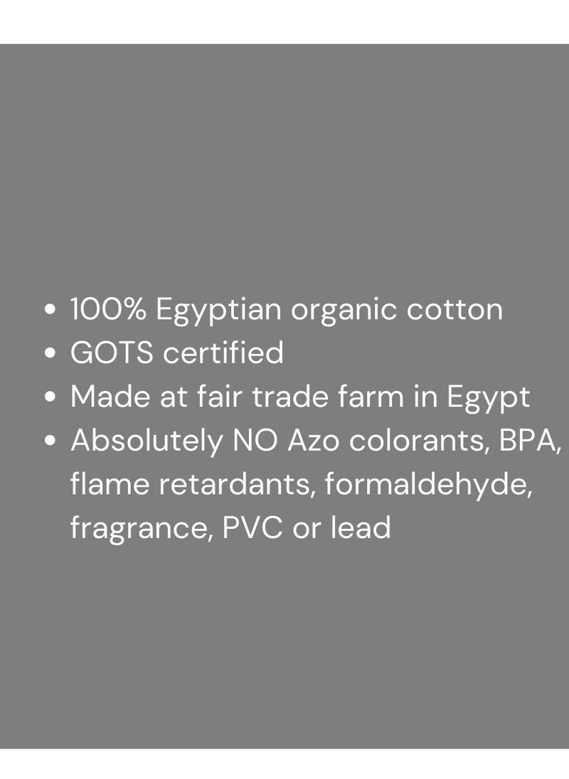Under the Nile - Under the Nile Organic Cotton Super Soft Baby Deluxe Hooded Towel Striped- Super Absorbent Baby Bath Shower Towel for Sensitive Skin Baby - Image 1