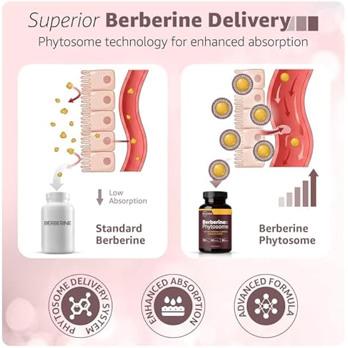 Berberine Phytosome 550mg, 60 Capsules - with Ceylon Cinnamon (200mg), Chromium (200mcg) & Black Pepper Extract (10mg) - Image 3