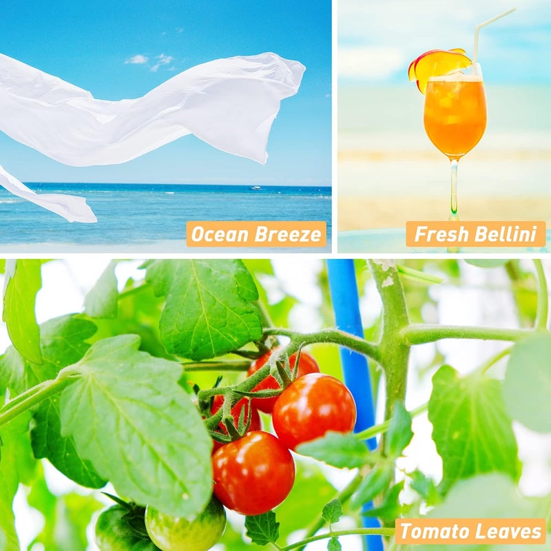 Summer Fragrance Oils Set - Essential Oil Soap Candle Making Scents, for Diffusers for Home, 6 x 10ml, Brisk Summer, Ocean Breeze, Tropical Fruits, Rose Lychee, Tomato Leaves, Fresh Bellini - Image 2