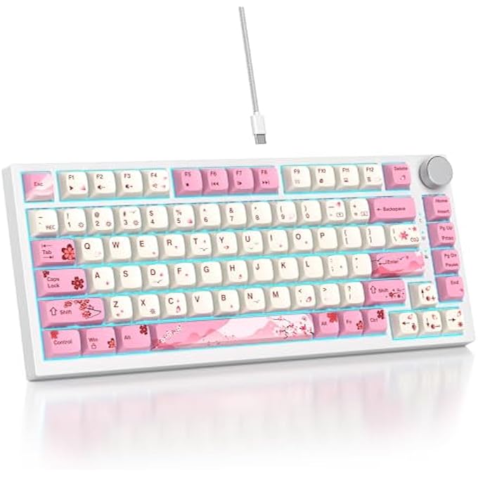 rayihni 75% TKL WIRED MECHANICAL KEYBOARD,RGB BACKLIT GASKET MOUNT 82 KEY HOT SWAPPABLE CUSTOM LINEAR RED SWITCH GAMING KEYBOARD WITH VOLUME KNOB & PBT KEYCAPS (PINK) - Image 1