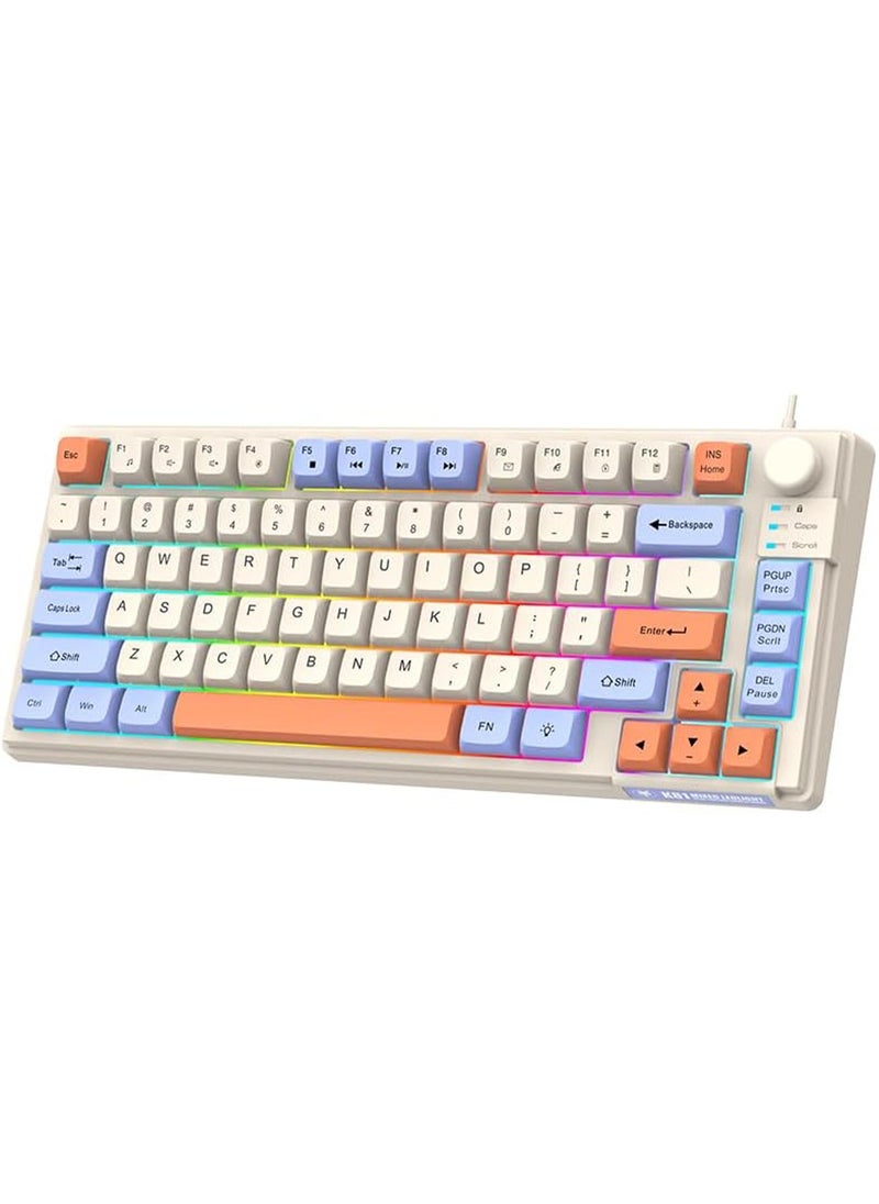 Aookay - [Upgraded] Arabic and English Wired Gaming Keyboard, 81-key Silent Keyboard with Adjustable RGB Rainbow Backlit and Independent Volume Adjustment Knob Keyboard for Office and Games (Gray) - Image 1