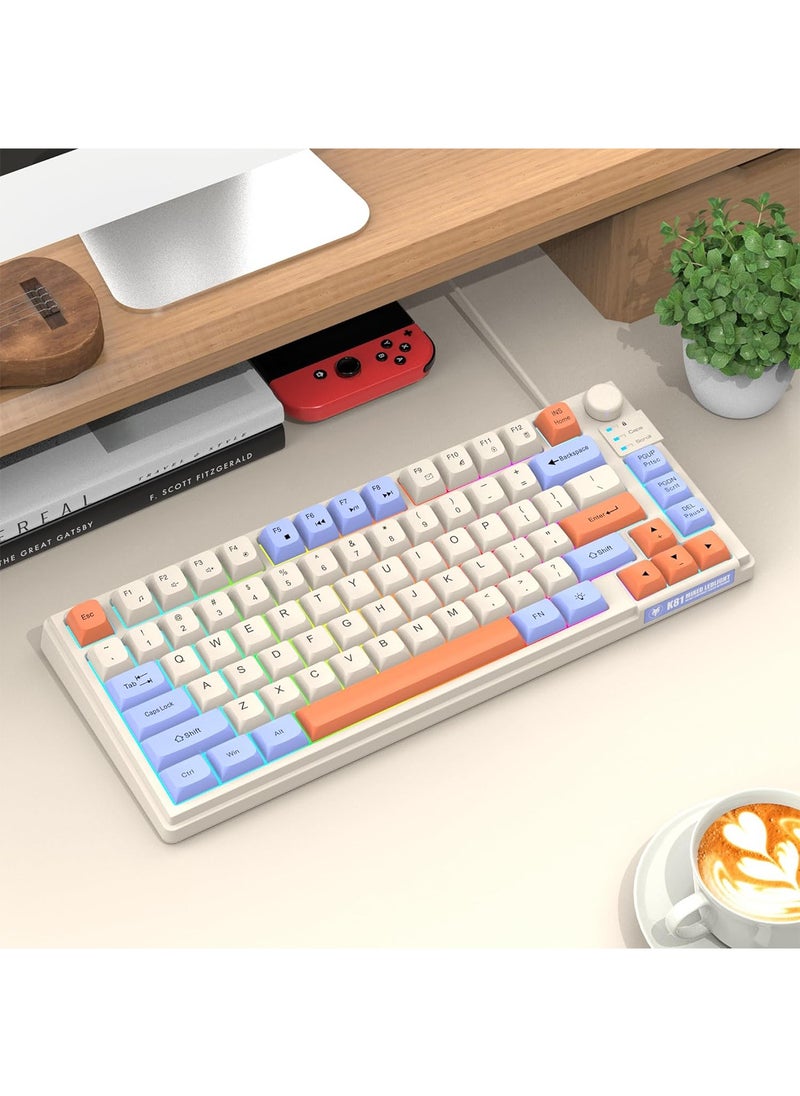 Aookay [Upgraded] Arabic and English Wired Gaming Keyboard, 81-key Silent Keyboard with Adjustable RGB Rainbow Backlit and Independent Volume Adjustment Knob Keyboard for Office and Games (Gray)  - Image 5