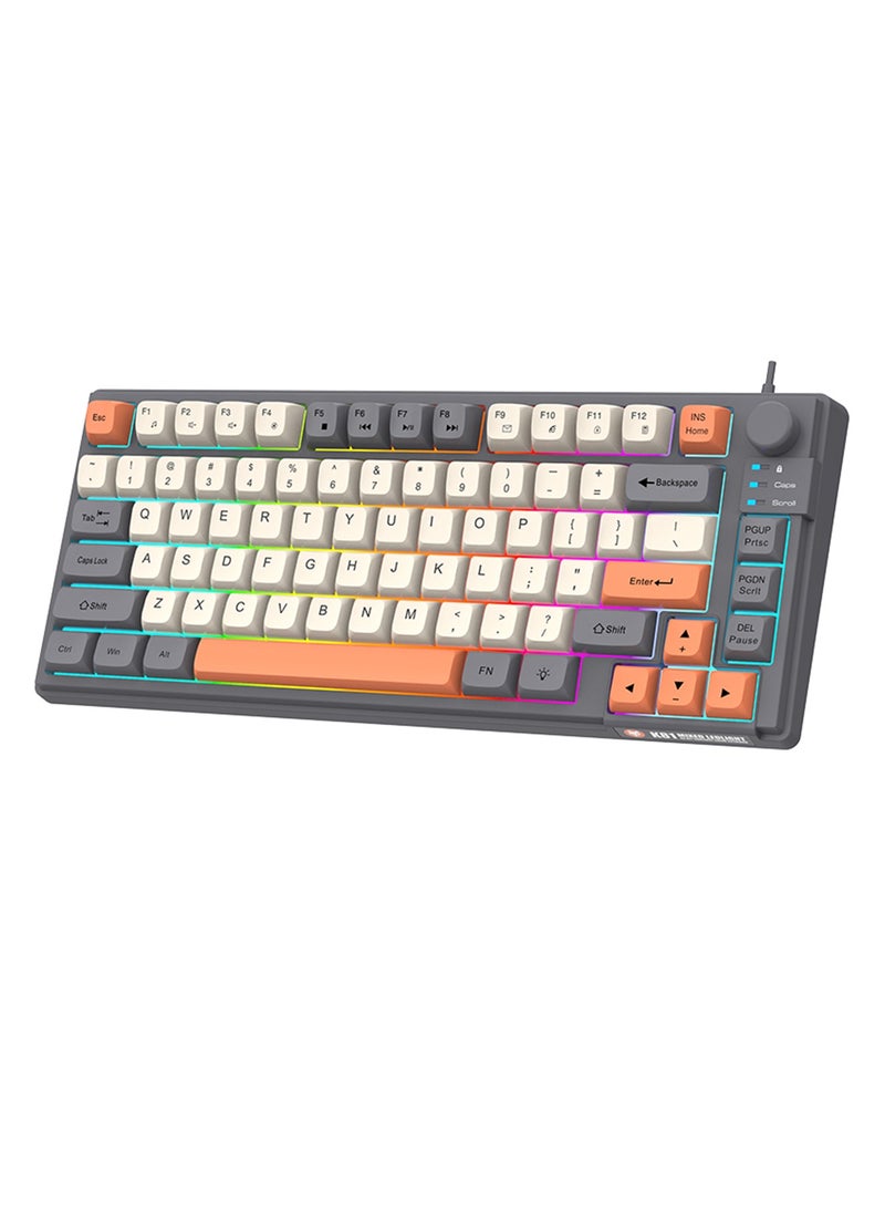 Aookay [Upgraded] Arabic and English Wired Gaming Keyboard, 81-key Silent Keyboard with Adjustable RGB Rainbow Backlit and Independent Volume Adjustment Knob Keyboard for Office and Games (Gray)  - Image 1